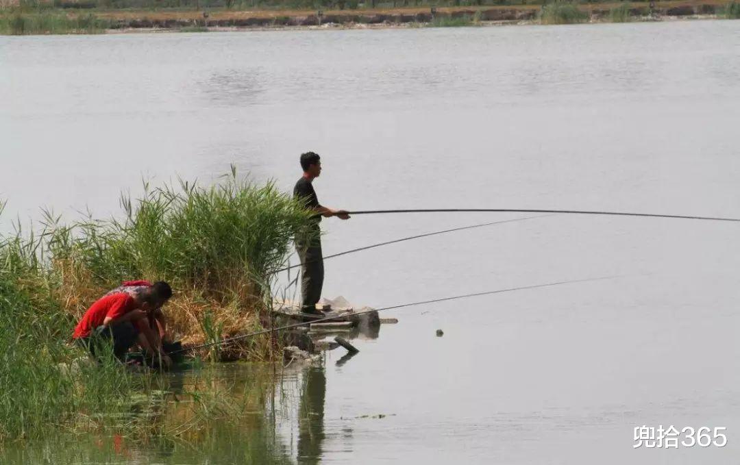 |又是钓鱼？把消防队也惊动了，知道原因后哭笑不得