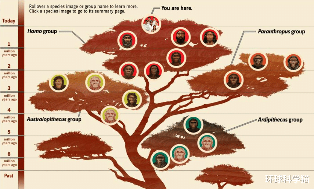 地球上为什么会有黑人、白人、黄种人,谁的基因更加接近?
