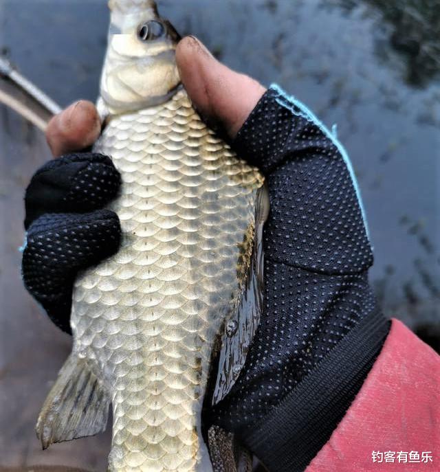 |钓鱼就一定要“钓草”?“钓草”怎样选择其钓点位置?