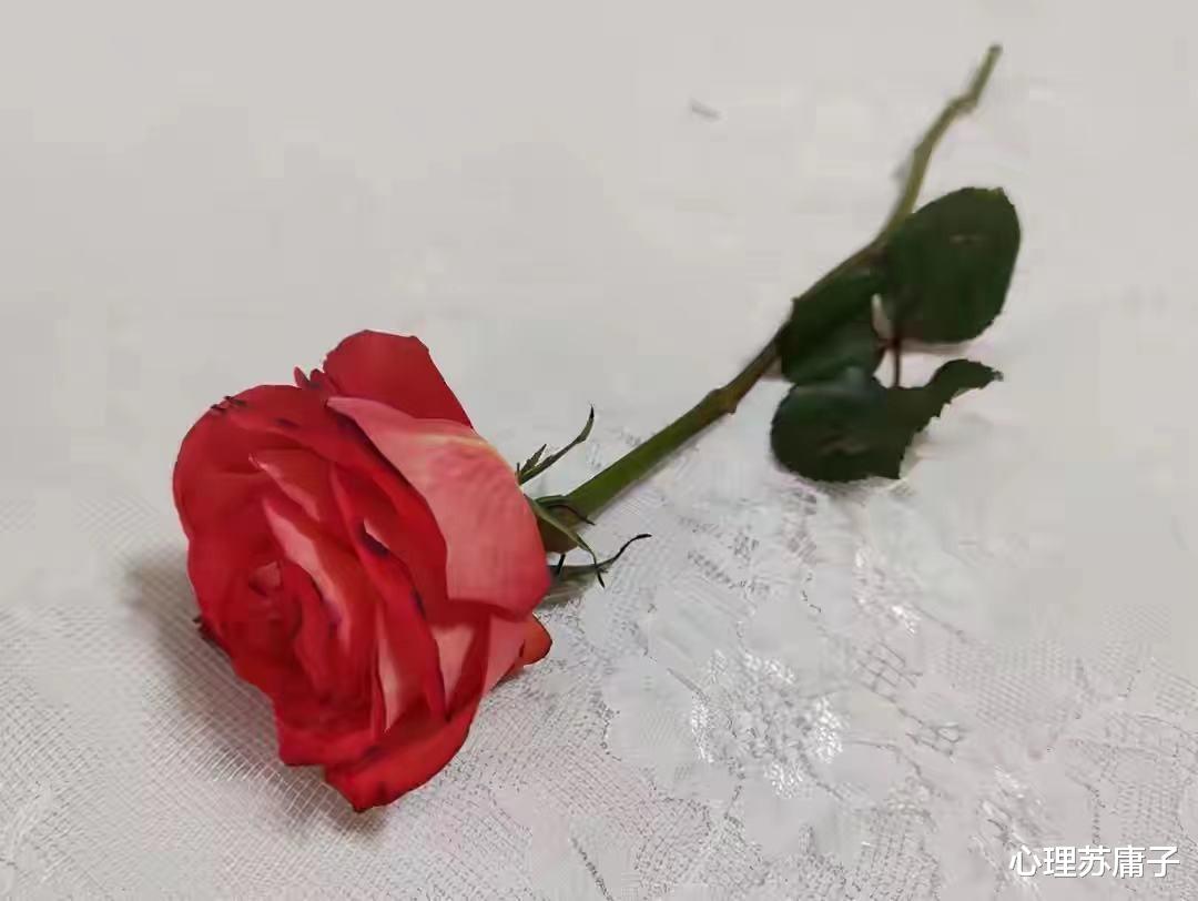 心理苏庸子|想要忘记一个深爱的人，走到这3步，比断联管用