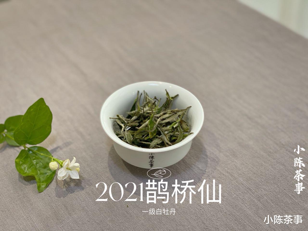 黑豆|日常泡茶時，多少度水溫最合適？綠茶、白茶、紅茶的水溫相同嗎？