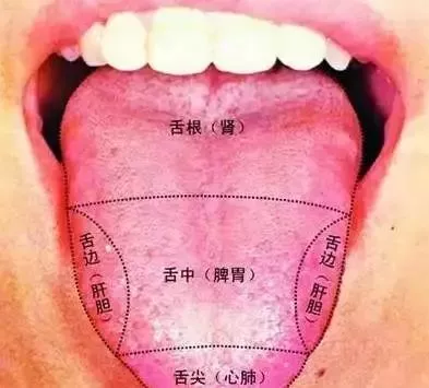 用户_391885|火在肺里:咳嗽;火在肝里:失眠:火在胃里:口臭;火在心里:口舌生疮....