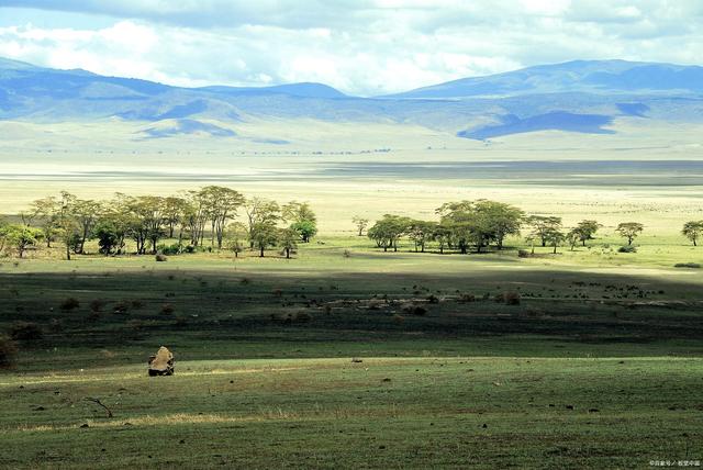 东非大裂谷 东非大裂谷之谜