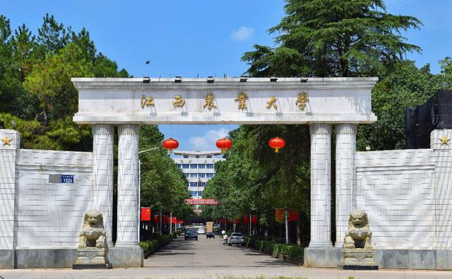 大学|国内大学的“六个等级”，能考到“四级以上”的，基本都是学霸