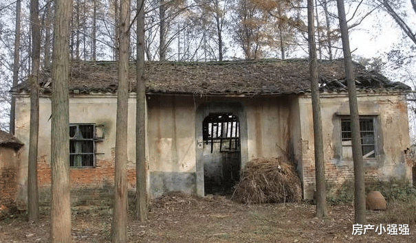 宅基地|清华教授建议取消农村一户一宅，有偿使用宅基地