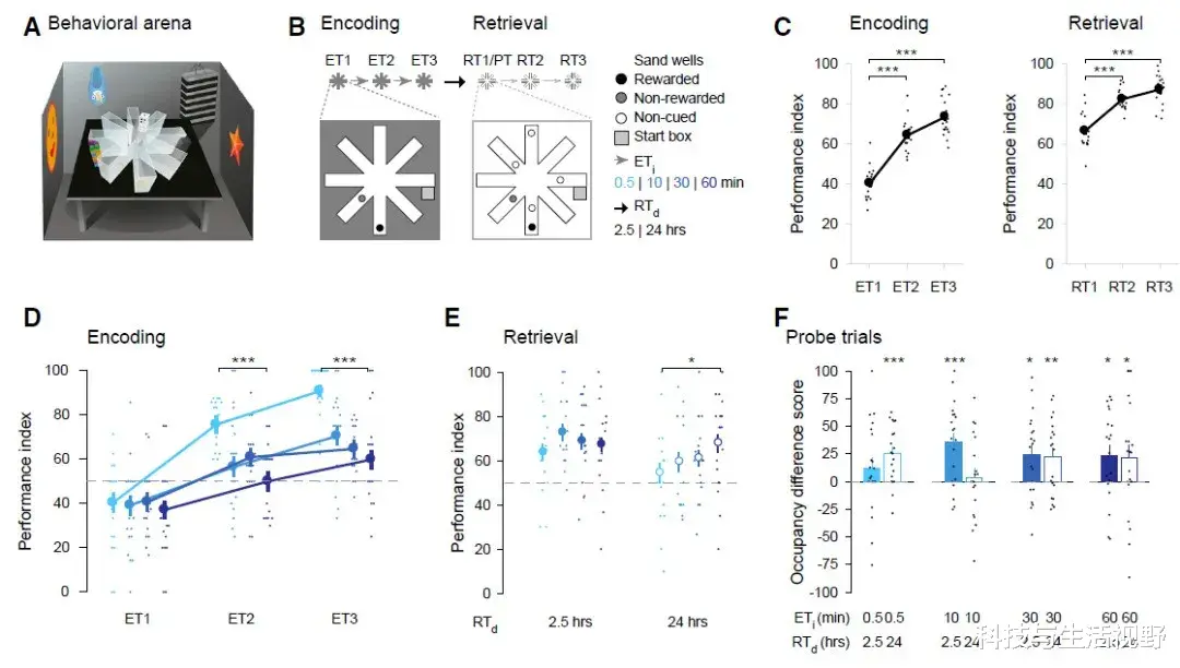 卫星 Curr Biol：间隔学习可巩固记忆的奥秘