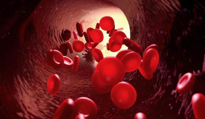 科学家 中国科学家研发出全球最接近天然红细胞的人造血!