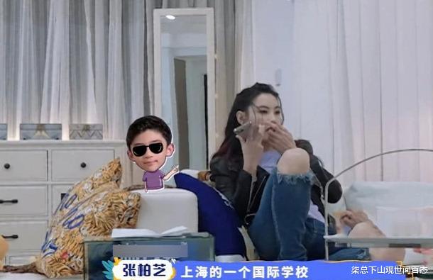 柒总下山观世间百态 张柏芝让儿子去上海上学遭拒 坦言：我什么都不怕，就怕我儿子