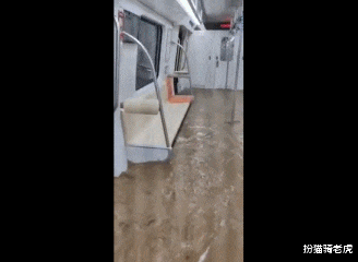 扮猫骑老虎|24小时内,450个西湖涌进郑州,我不敢看河南人的朋友圈