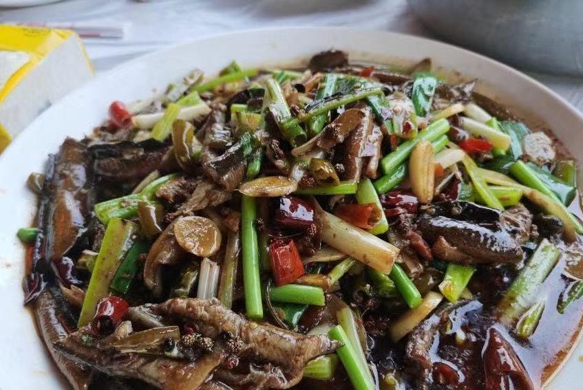 哈儿探店 重庆藏在郊外的一家河鱼馆,每天食客爆棚,开豪车的美女也过来吃