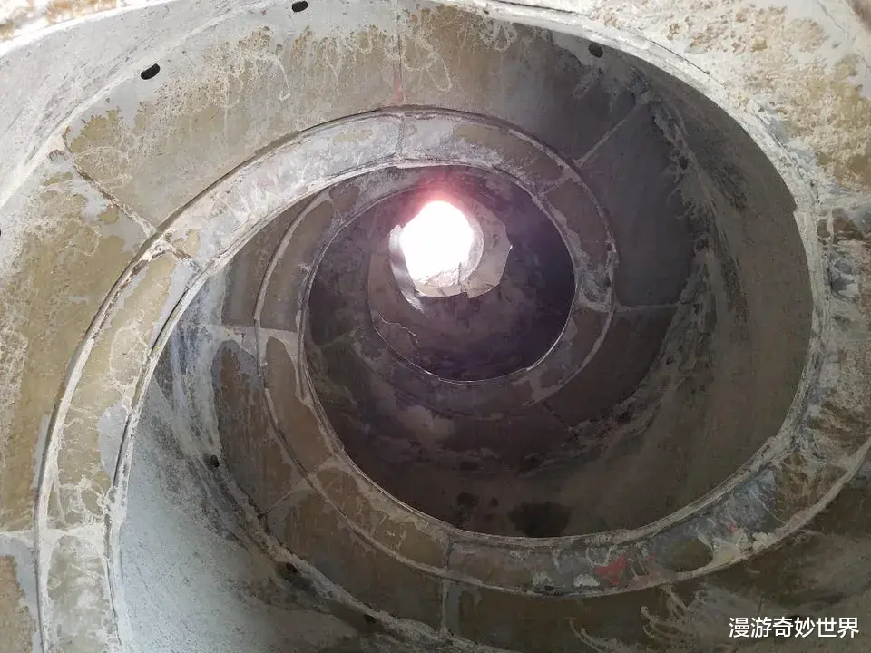 |“活久见”的30张照片，让你大开眼界…