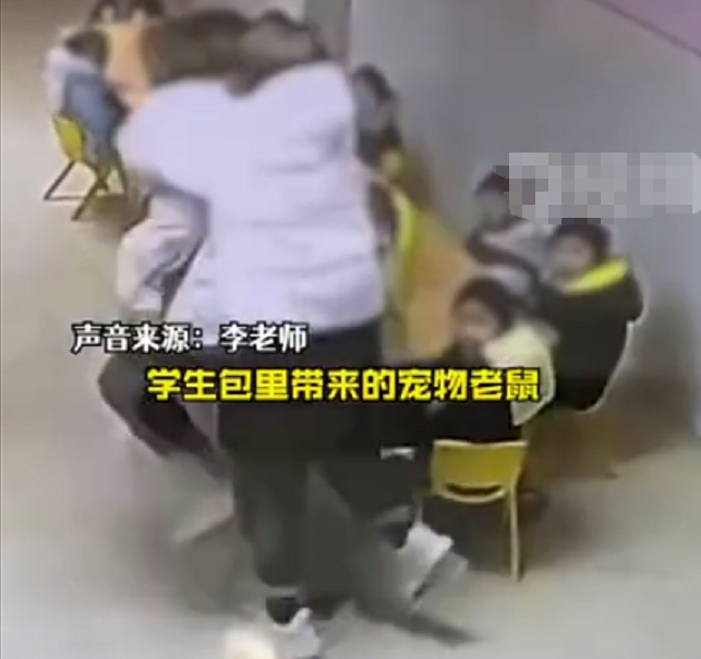 教师|学生携带老鼠进教室，两名女老师吓出尖叫，家长的评论却让人心疼