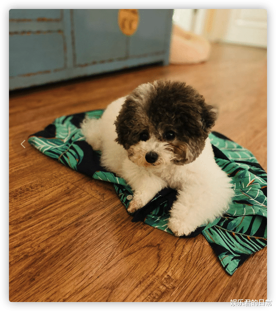 TVB|54岁港星转行成富豪，在TVB多年星途坎坷，现住千万豪宅生活潇洒