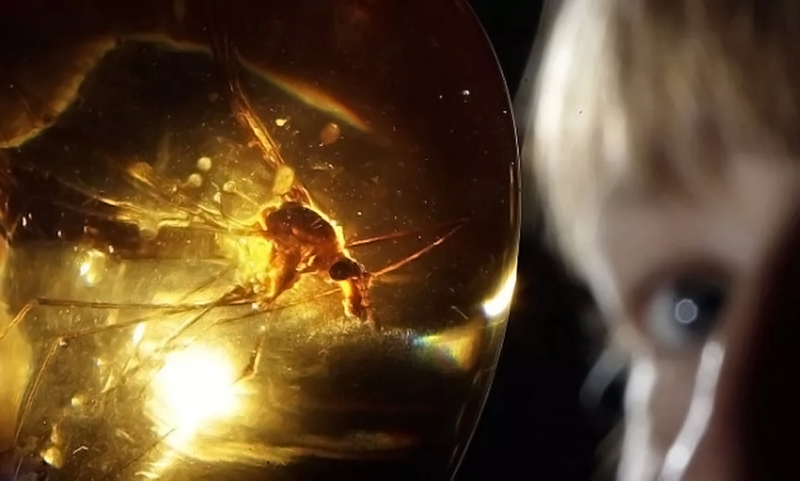 恐龙 我国在恐龙化石上发现疑似DNA物质，中国能率先复活恐龙吗？