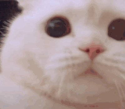 山东省|热搜第一！这个手机号码拍出120万