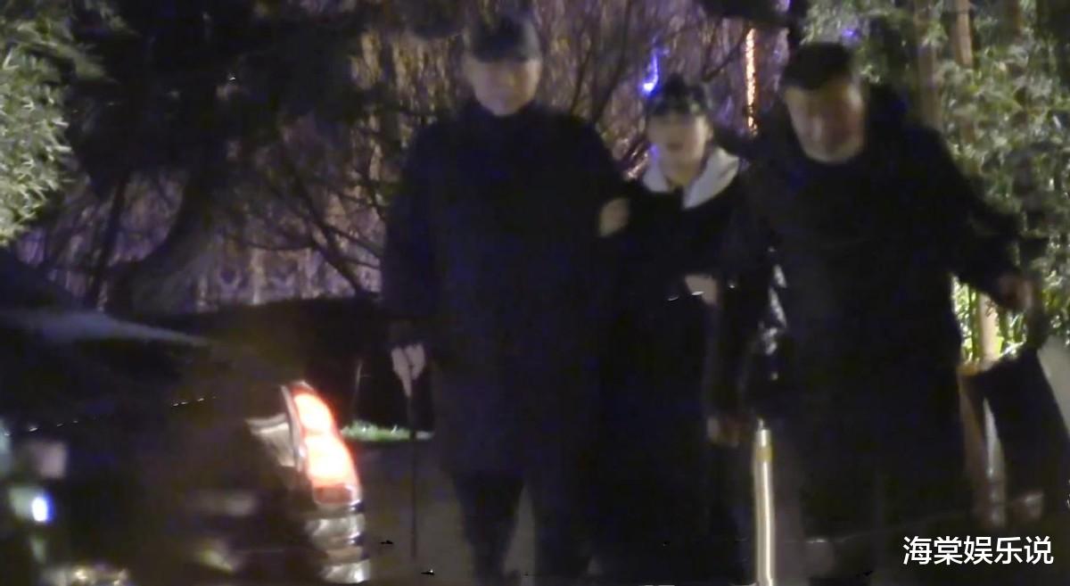 陈凯歌|陈凯歌夫妇外出聚餐，陈凯歌拄拐步履蹒跚，妻子陈红依旧美艳如花