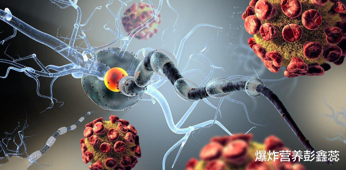 |炎症会加速癌症的发生，尤其是这2类食物，劝你越早撤离餐桌越好