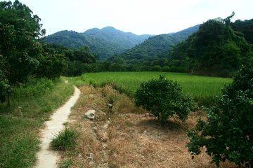 金凤说趣闻|女儿山里失踪，父亲每天往山里扔一只活鸡，5年后父亲乐坏了