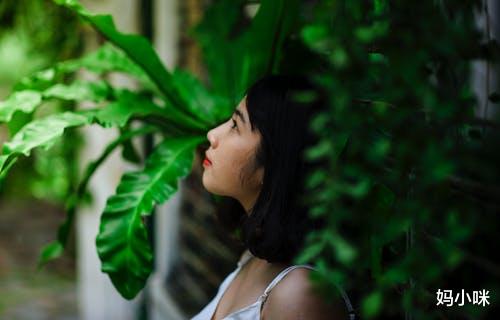 妈小咪|你争什么,就会失去什么