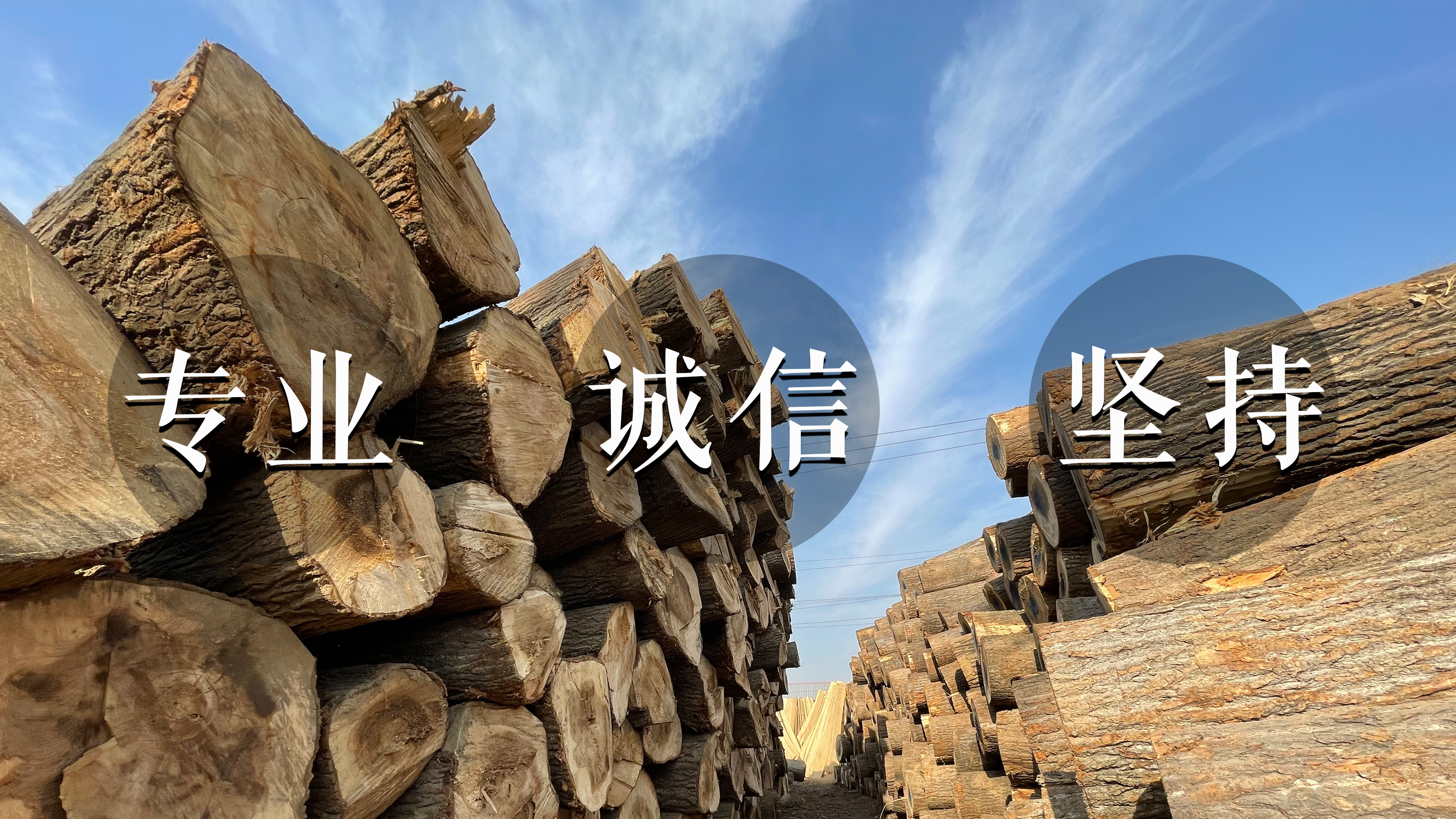 东明青发木业|消费者在购买实木门时要一定要注意避开这几个选购误区