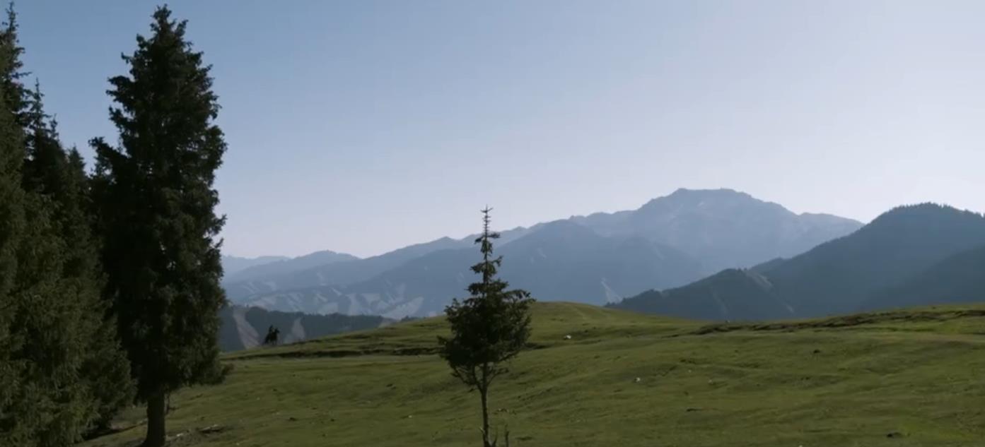 秦昊|首播拿下卫视台的收视第一，秦昊领衔的新剧，凭什么又要火了？