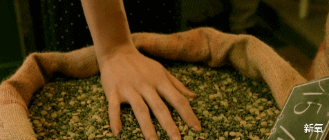 韦斯·安德森|一张路透吸粉无数，但看到剧里的她，我傻了...