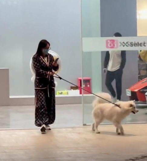 谢霆锋|网红辛巴妻子低调露面，身材臃肿包裹严实，穿10万名牌只为遛狗