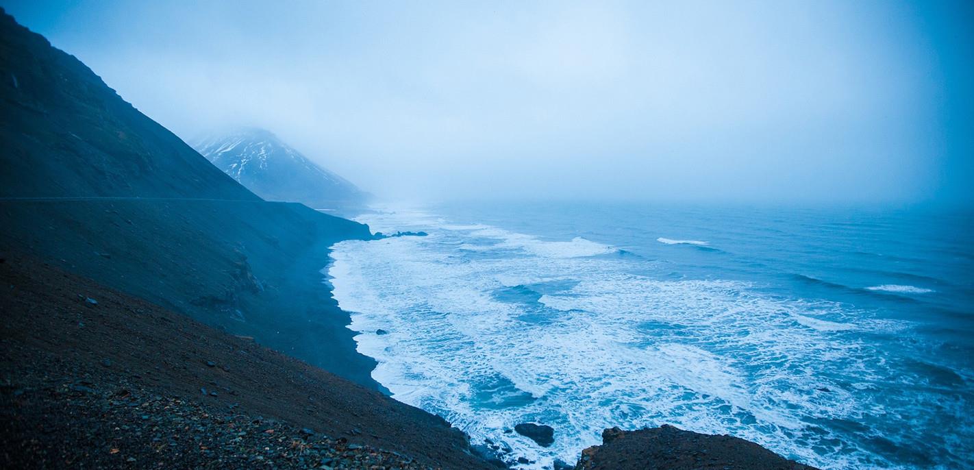 南方古猿 海蜘蛛花5亿年时间，证明一个道理：“只要足够废物，就没天敌”