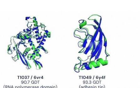 人工智能解决科学50年难题,取得重大突破,科学家:不是什么好事