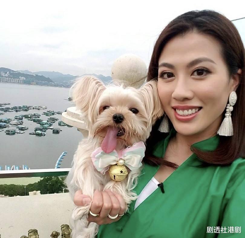 陈彦行|TVB前高颜值女星身材发胖明显，遭前男友出轨背叛至今单身，曾自曝被异性骚扰