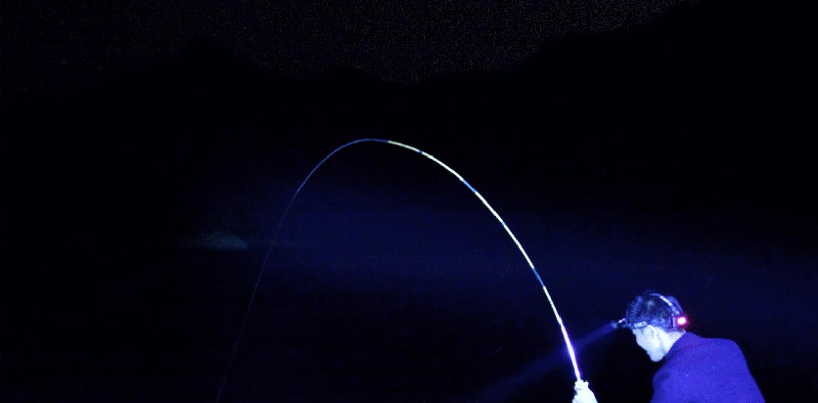 甘蔗|湖南一男子罕见钓获10斤的大王八，老人却让他放生，最终会怎样？