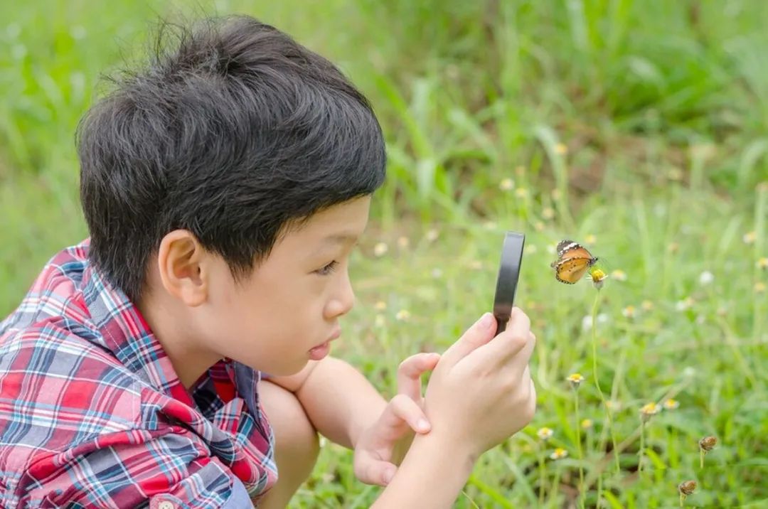 饭饭妈妈育儿|儿童自然教育越早开始越好，做好这几点，宅在家也能做自然教育