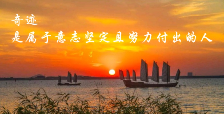 小飞侠熙熙 不随波逐流，坚定己见！