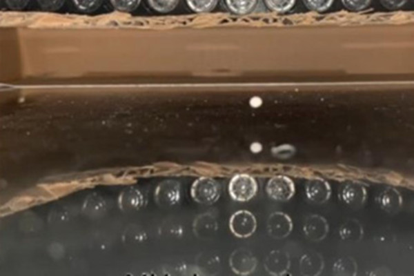 科学家 科学家开发“声学镊子” 用声波“操控”物体