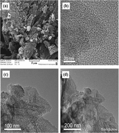 纳米 开发用于染料去除应用的醋酸纤维素/金属有机骨架衍生的多孔碳吸附膜(一)