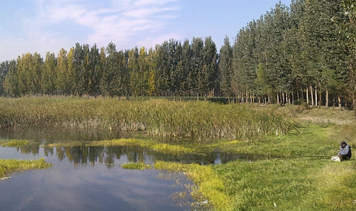 |靠谱打窝诱鱼技巧,这样打窝效果翻倍,助你连竿不断——盛世三渔