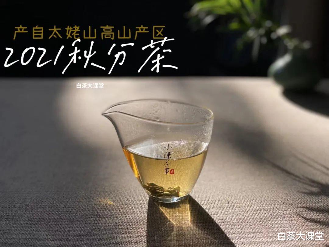 |天凉不适合饮白茶？你错了，这才是冬天最舒服的喝茶方式