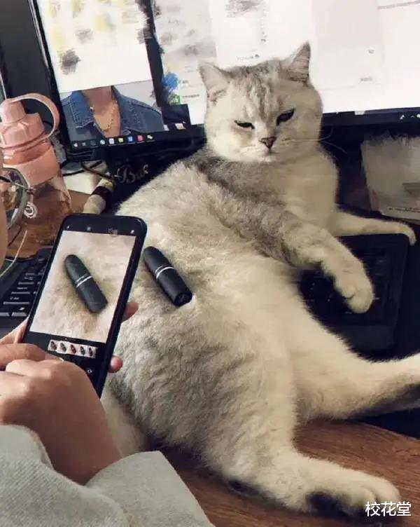 华为|1996年华为的招聘广告，大家看能应聘上吗？哈哈哈