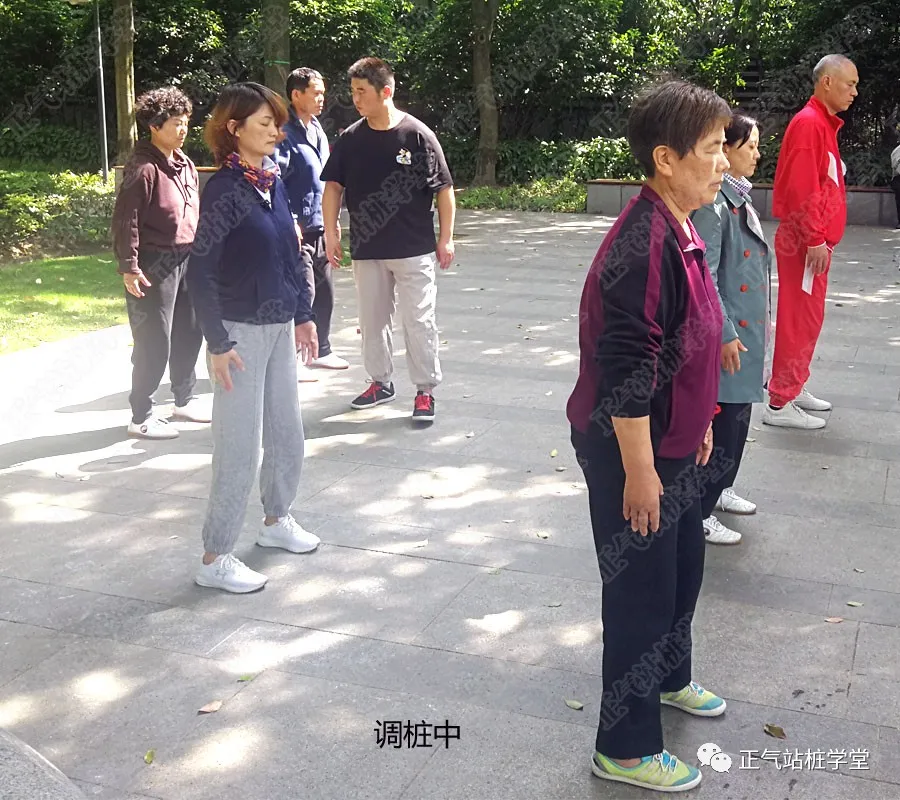 癌细胞|练习站桩时为什么会出现各种各样的身体感受?