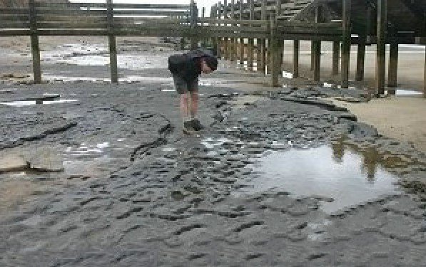 今日简史 远古人类脚印是哪来的