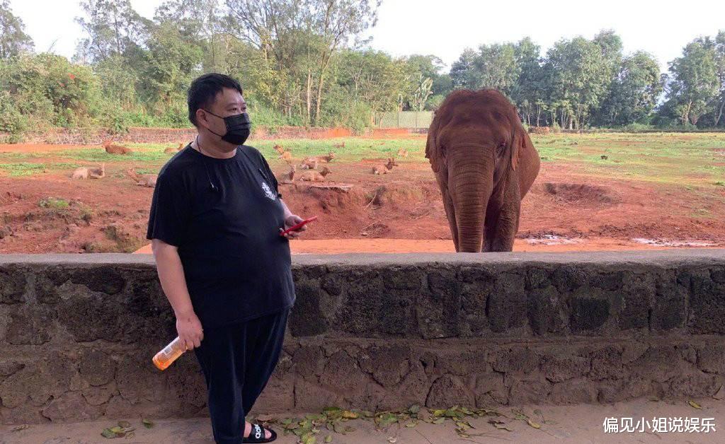 孙越|德云社孙越发文求饶：别再私信我了，大象北上真不是来找我的