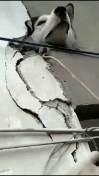 |“分手后，怎样一句话让对方睡不着？”哇哈哈哈哈哈...神评亮了～