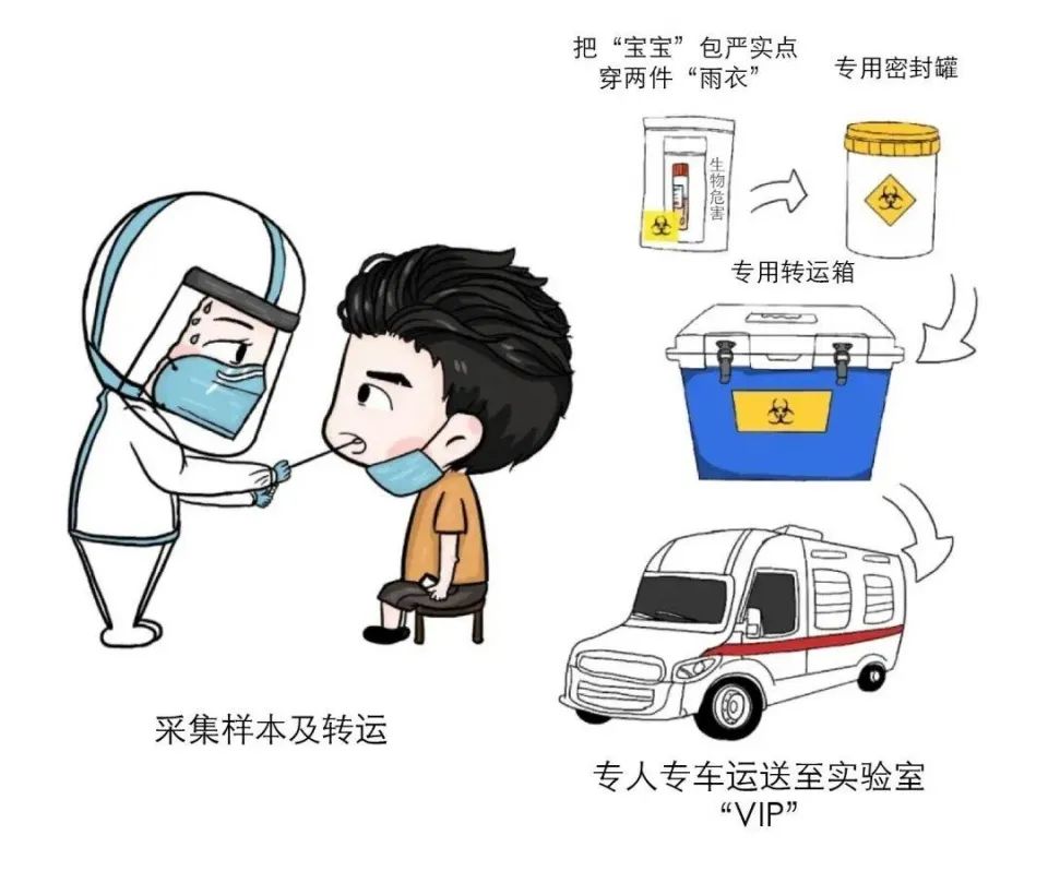 关注:核酸检测报告太慢?看完这篇文章你就明白了!