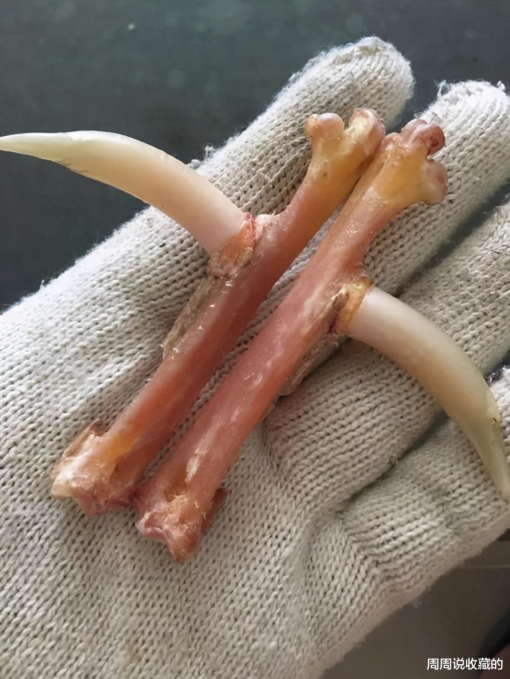 文玩|不是所有的文玩都需要买，有些是可以吃出来的，而且还有荤有素