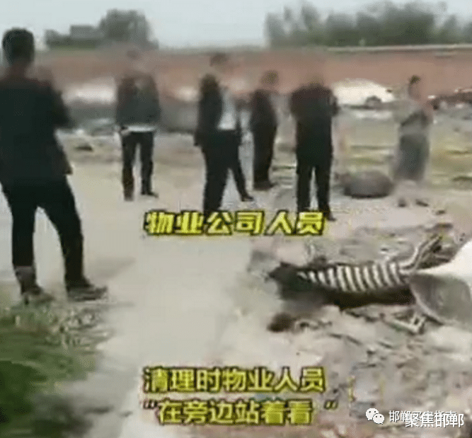 聚焦邯郸 邯郸荣盛物业再暴雷，清理消防通道为何袖手旁观？
