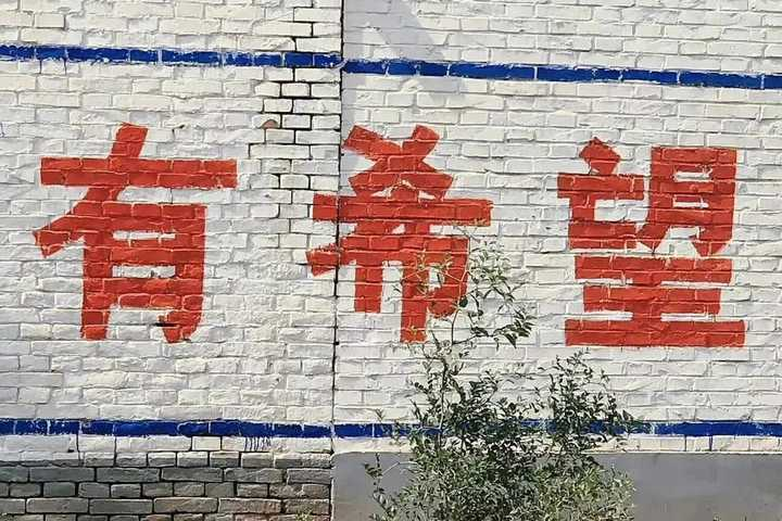 奥运会|说起电商大家只知道亚马逊，阿里供应链到底该怎么做？好不好