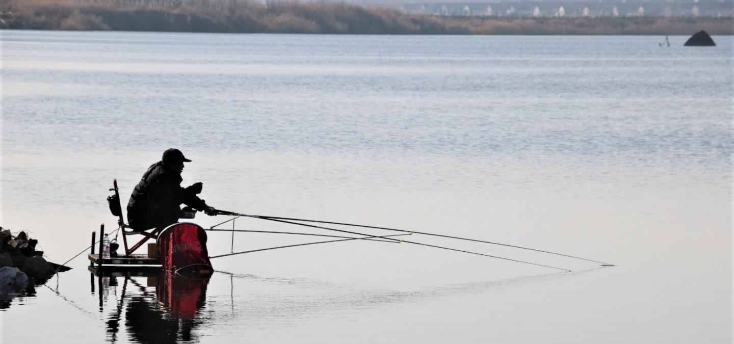 饵料|冬季野钓深水，这样调钓和用饵，渔获好、中鱼率高