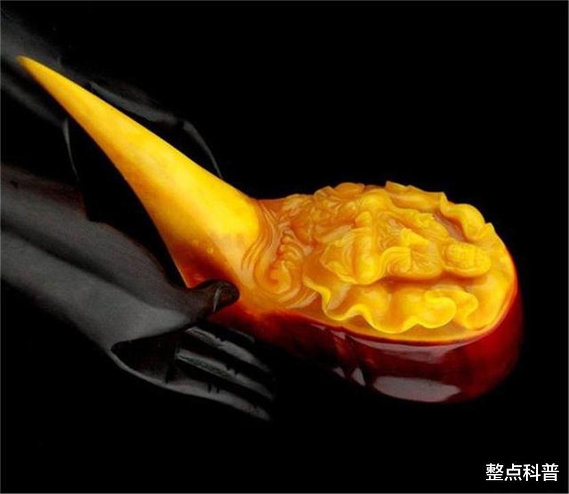 脑袋被人类盯上的鸟，头骨比象牙贵3倍，活着被取骨后只能等死