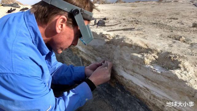 基因 美国发现一组人类脚印，科学家：2万年前的足迹