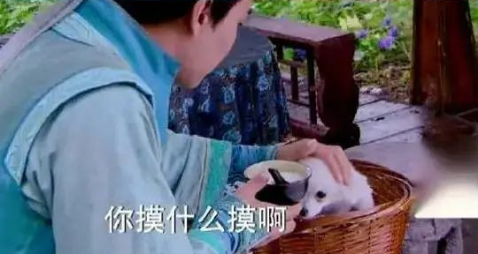 道具师|“假”到离谱，她活该被3亿人追着骂！